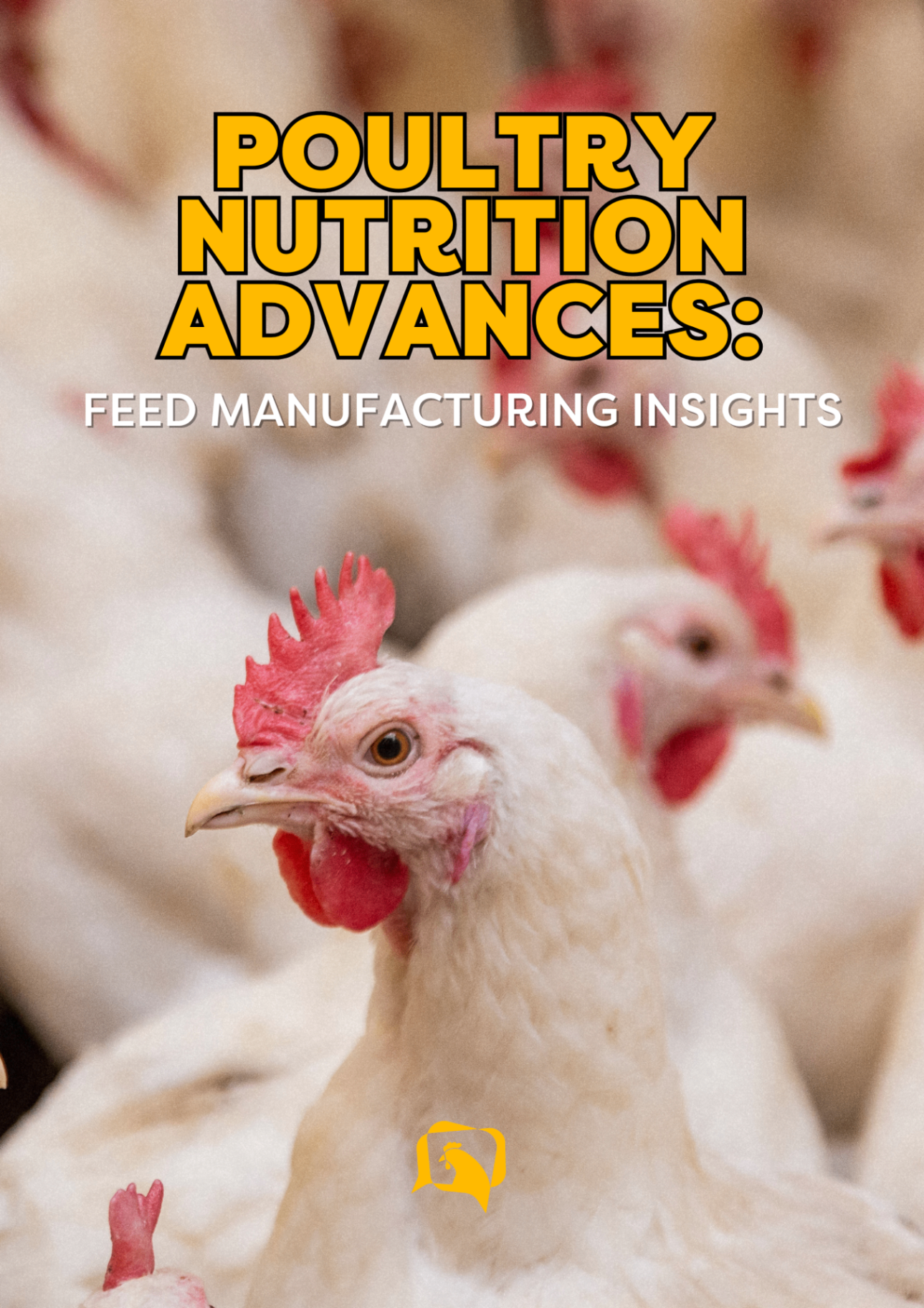 Poultry Nutrition Advances: Feed Manufacturing Insights